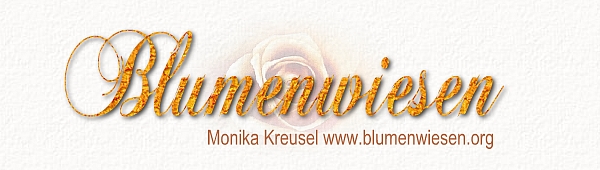 Blumenwiesen - Informationen, DBT-Skills u.a. zu Traumafolge- und Pers&ouml;nlichkeitsst&ouml;rungen wie Borderline, Dissoziative Identit&auml;tsst&ouml;rung, Schizotypische Pers&ouml;nlichkeitsst&ouml;rung, Posttraumatische Belastungsst&ouml;rung etc.