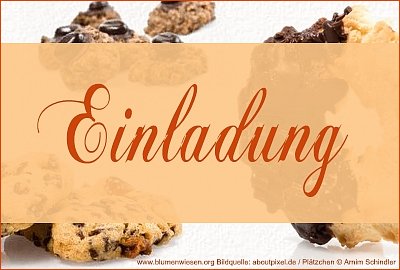 Frohes Fest: Einladung www.blumenwiesen.org