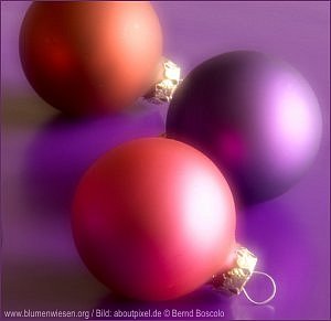 www.blumenwiesen.org Weihnachtskarte Lila Kugeln
