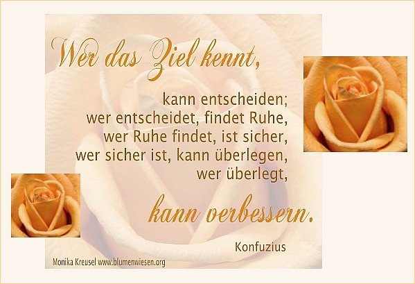 Wer das Ziel kennt, kann entscheiden...